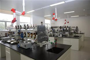 隆力奇 传承工匠精神，打造百年品牌的品牌管理之道